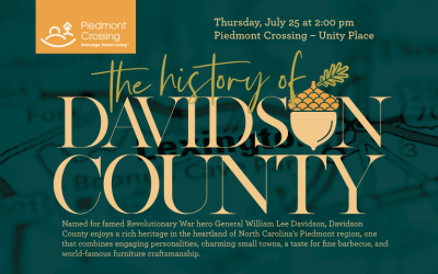 The History of Davidson County